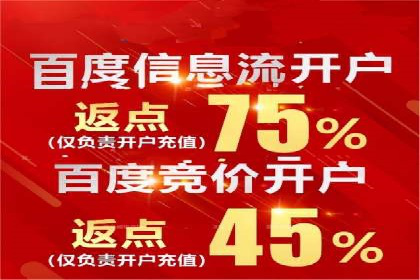 百度推广技巧：案例解析
